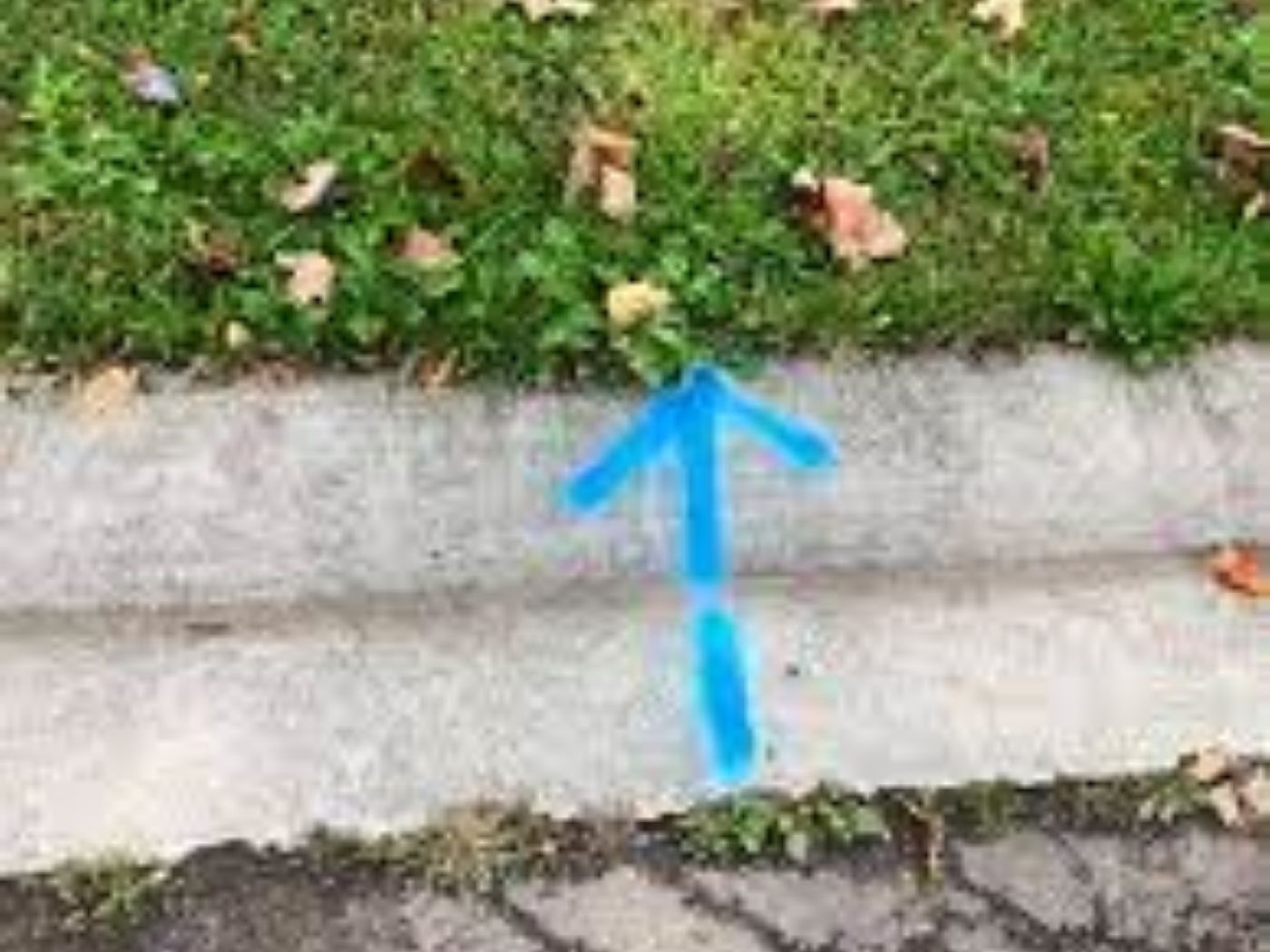 successful autistic leak detection done in Roodepoort